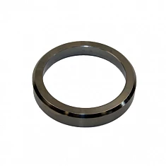  "Wagner" Седло выпускного клапана для аппарата Heavy Coat 920 (Outlet valve seat) (555651)