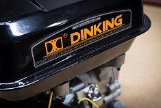 DINKING